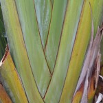 IMG_8363