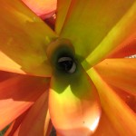 IMG_8396
