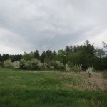 IMG_0578