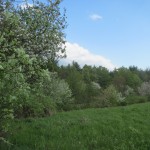 IMG_0589
