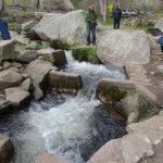 IMG_8776