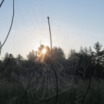 IMG_1192
