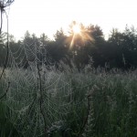 IMG_1194