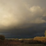 IMG_3196