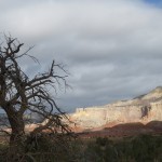 IMG_3267