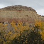 IMG_3303