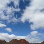 IMG_3361
