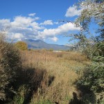 IMG_3488