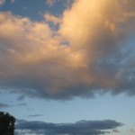 IMG_3586