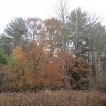 IMG_3712