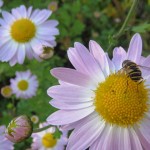 IMG_3618