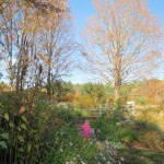 IMG_3620