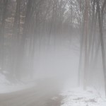 IMG_3941