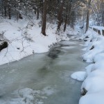 IMG_4133