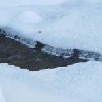 IMG_4149