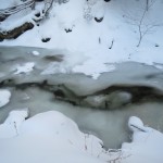 IMG_4154