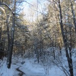 IMG_4169