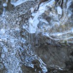 IMG_4205