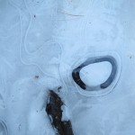 IMG_4213