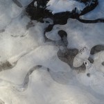 IMG_4265