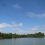 IMG_4624