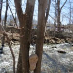 IMG_5095