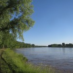 IMG_5707