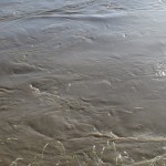 IMG_5711