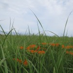 IMG_5790