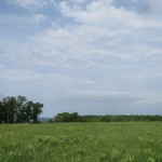 IMG_5795
