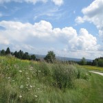 IMG_6670