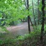 IMG_6864