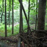 IMG_6866