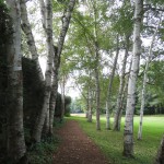 IMG_7103