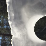 IMG_1525