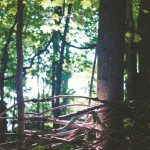 weirs_postcard_final_modern-2