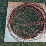 Erin_Long_Photo20684848200001