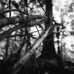 erinlongphotography_toddlynch_audubon13