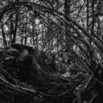 plant-vandals-1