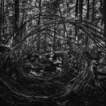 plant-vandals-2