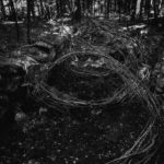 plant-vandals-3