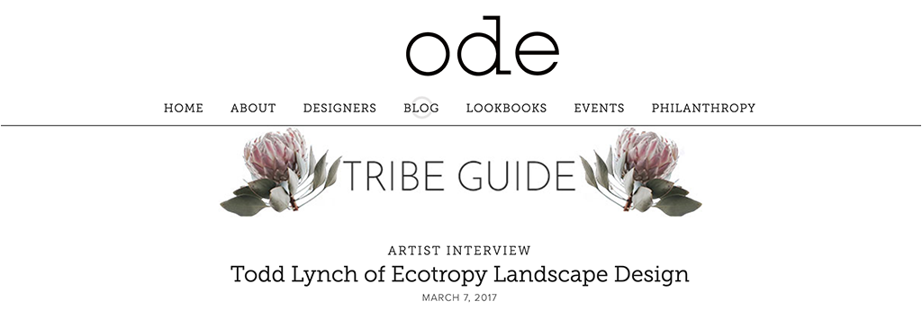 Todd Lynch of Ecotropy Landscape Design